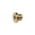 Locking screw, Hexagonal socket and flange, G 1, AF 17, Brass